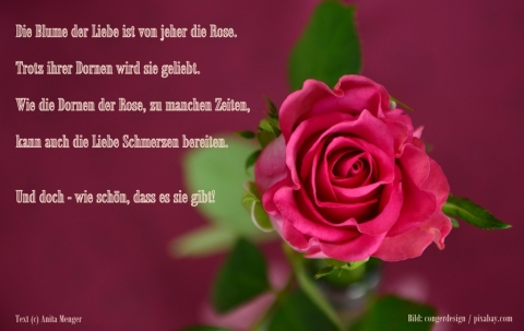 Gedicht