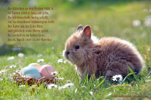 Ostergedicht: