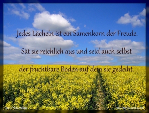 Spruch