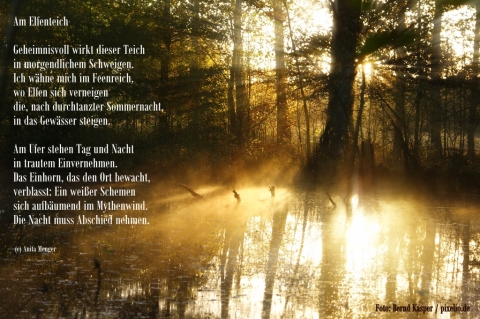 Gedicht