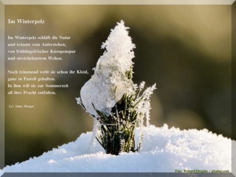 Foto-Gedicht