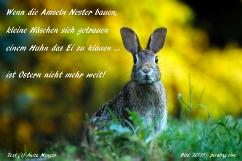 Spruch